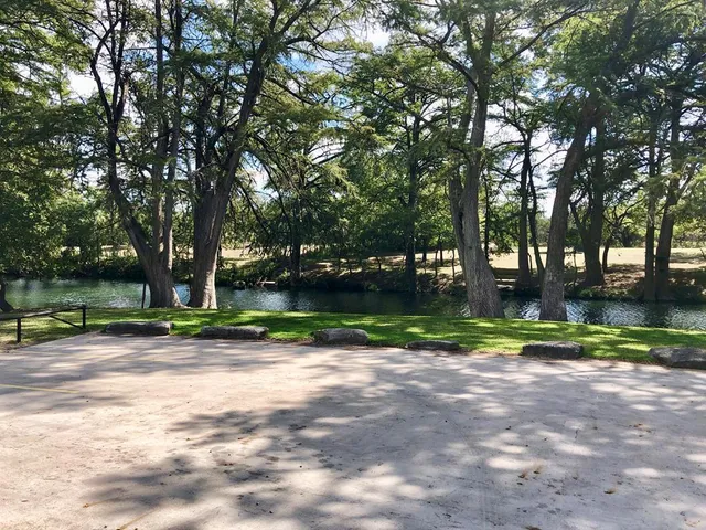 a view of park with tree s