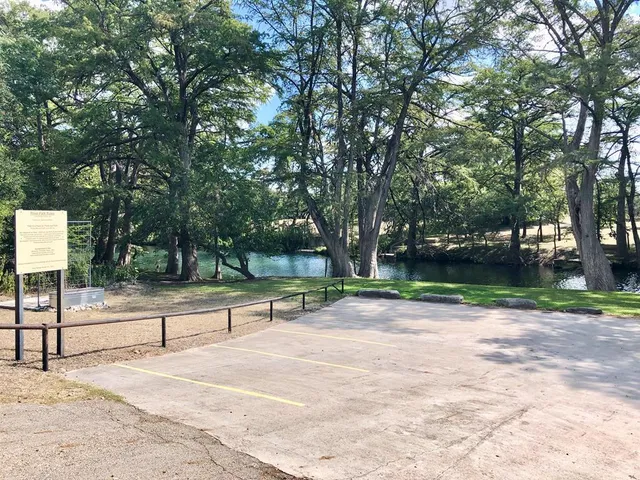 a view of a yard with plants and trees