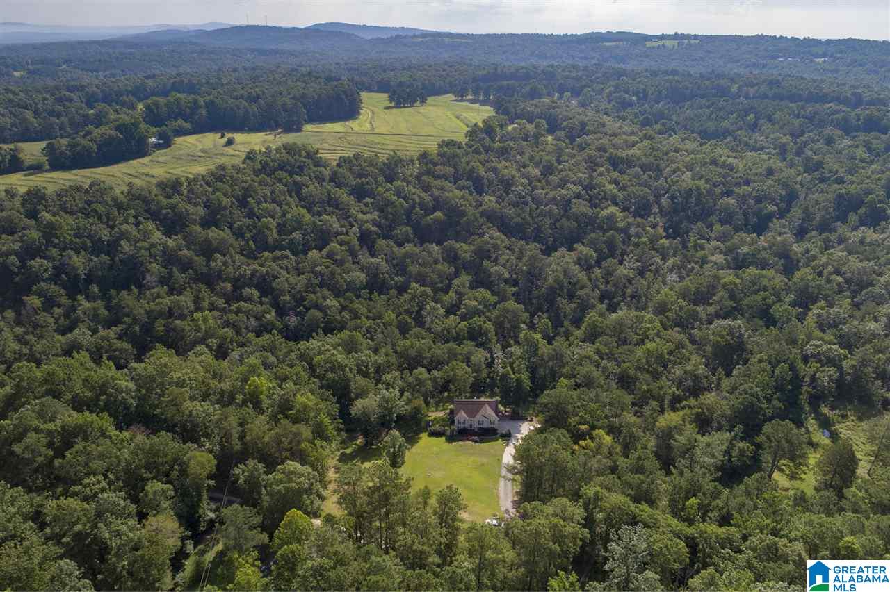 2277 Mt View Road Hayden, AL 35079 - Photo 2 of 46