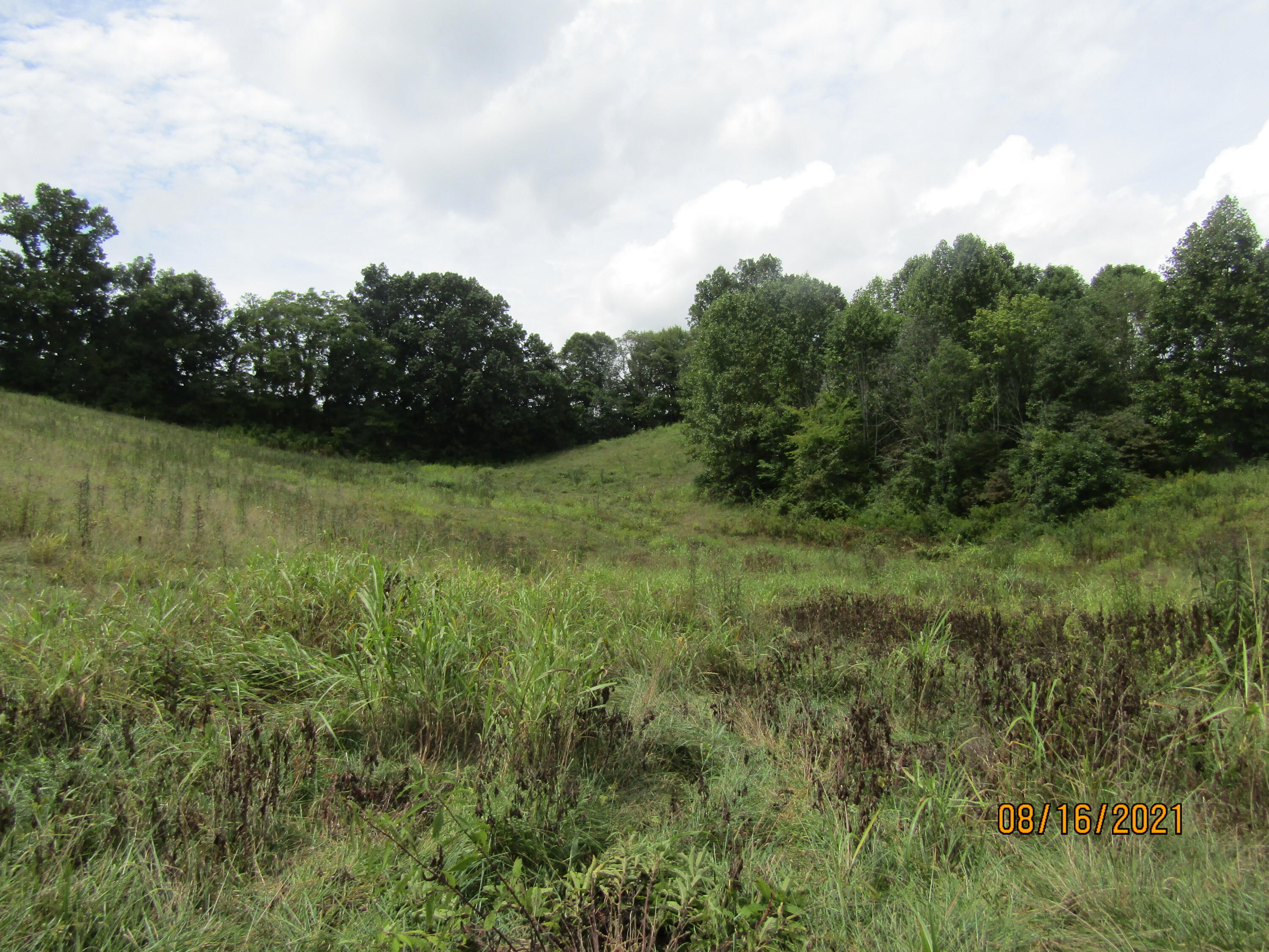 1532 Mount Zion Road Tazewell, TN 37879 - Photo 12 of 54 IMG_3210