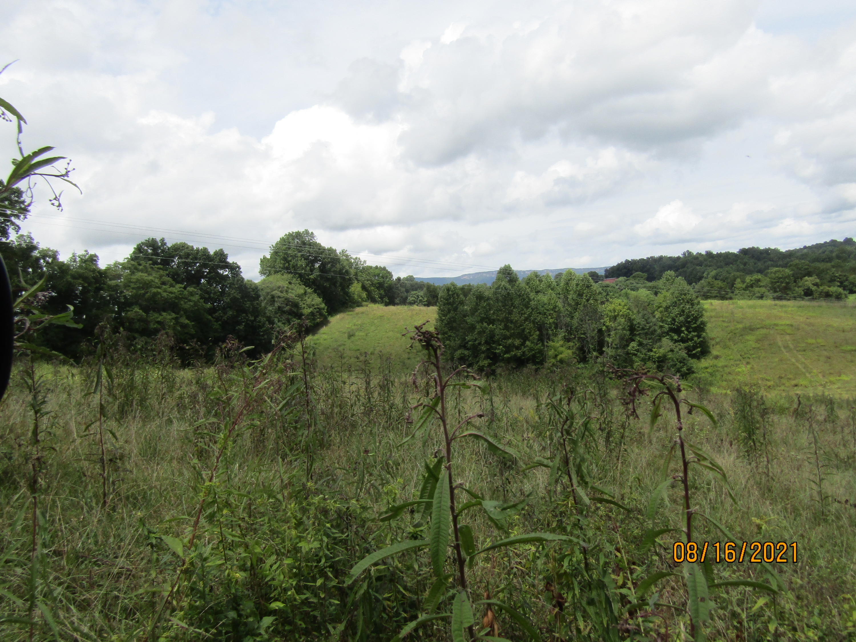 1532 Mount Zion Road Tazewell, TN 37879 - Photo 17 of 54 IMG_3218