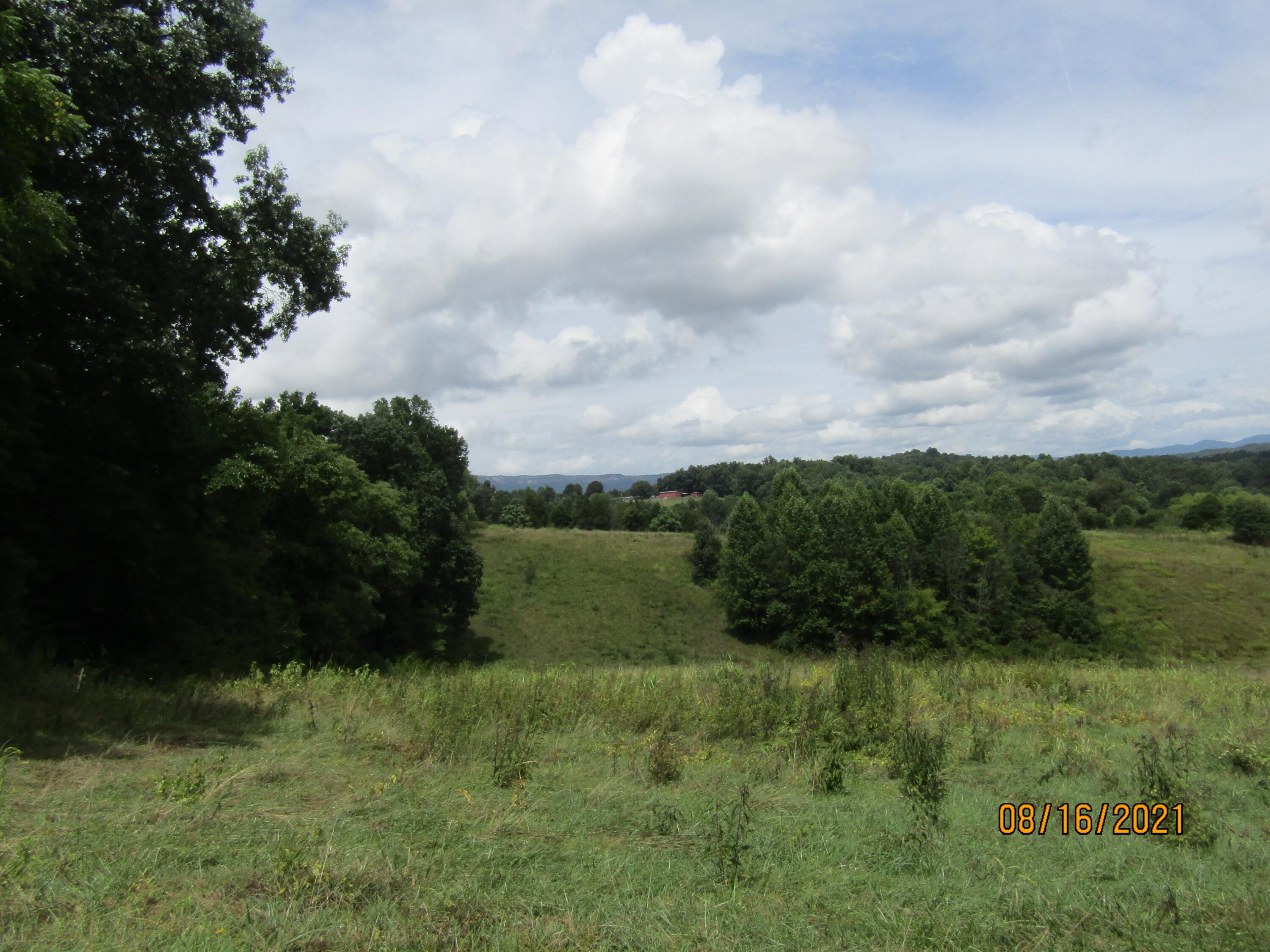 1532 Mount Zion Road Tazewell, TN 37879 - Photo 18 of 54 IMG_3226