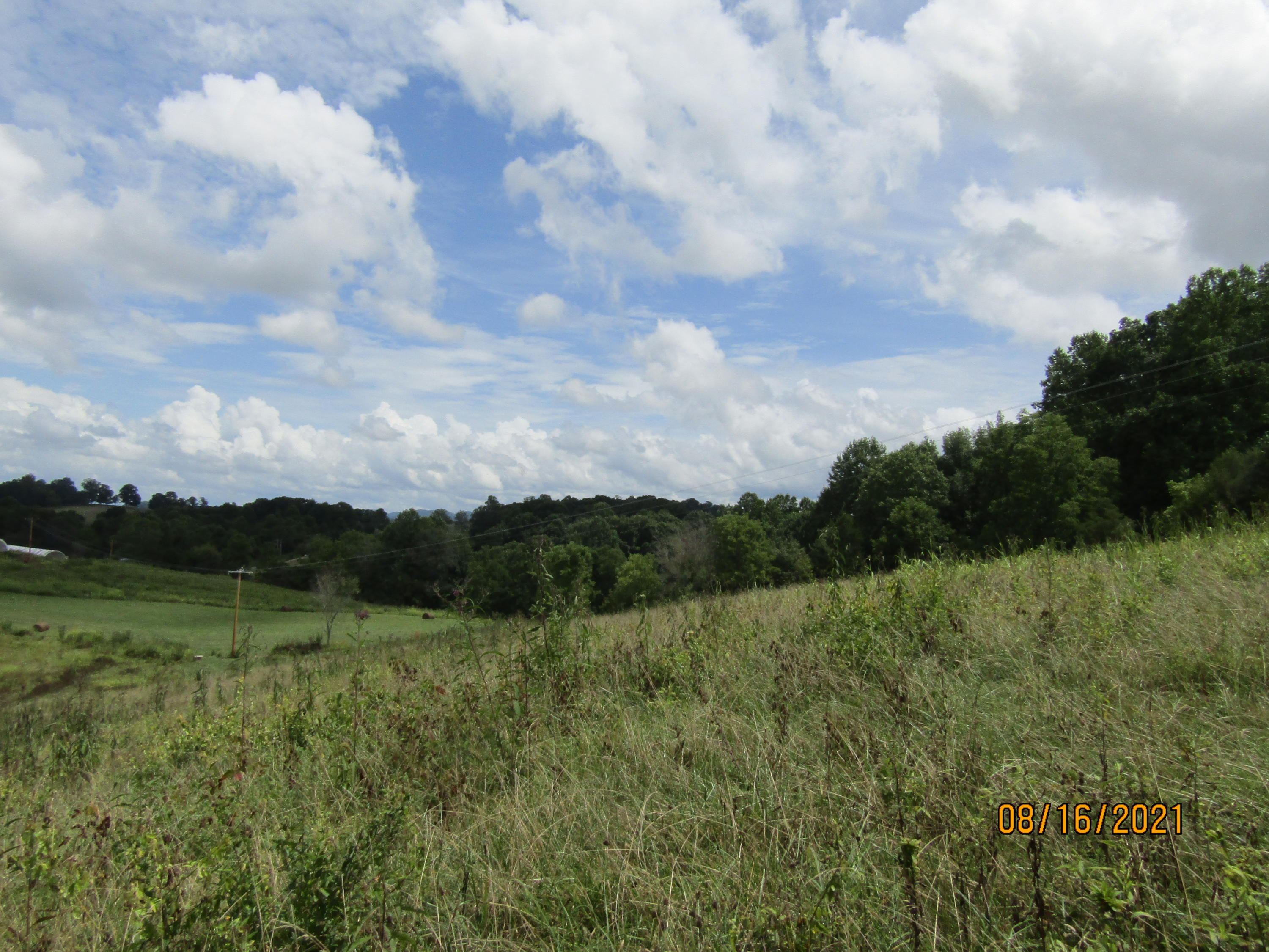1532 Mount Zion Road Tazewell, TN 37879 - Photo 20 of 54 IMG_3233