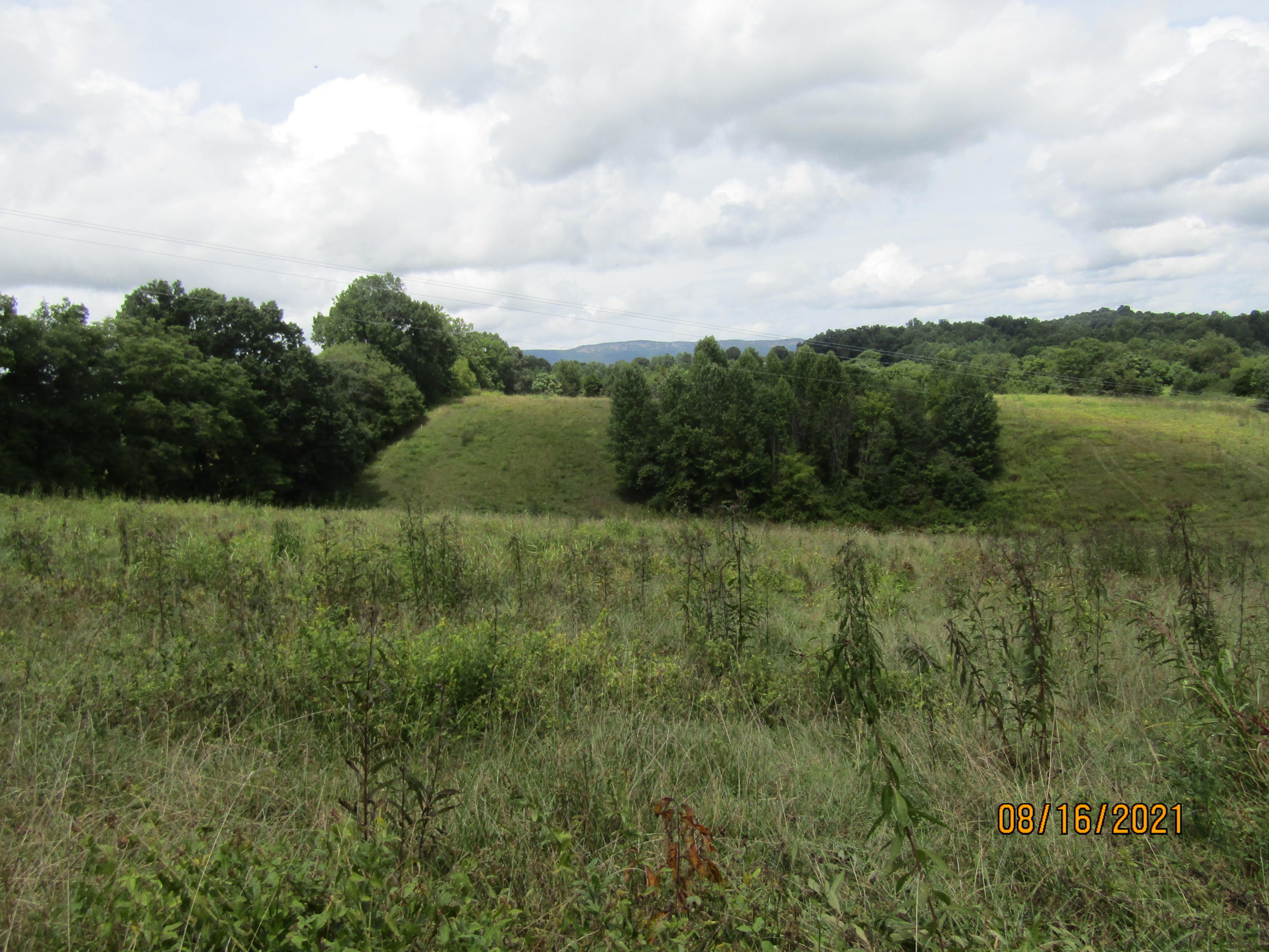 1532 Mount Zion Road Tazewell, TN 37879 - Photo 22 of 54 IMG_3219