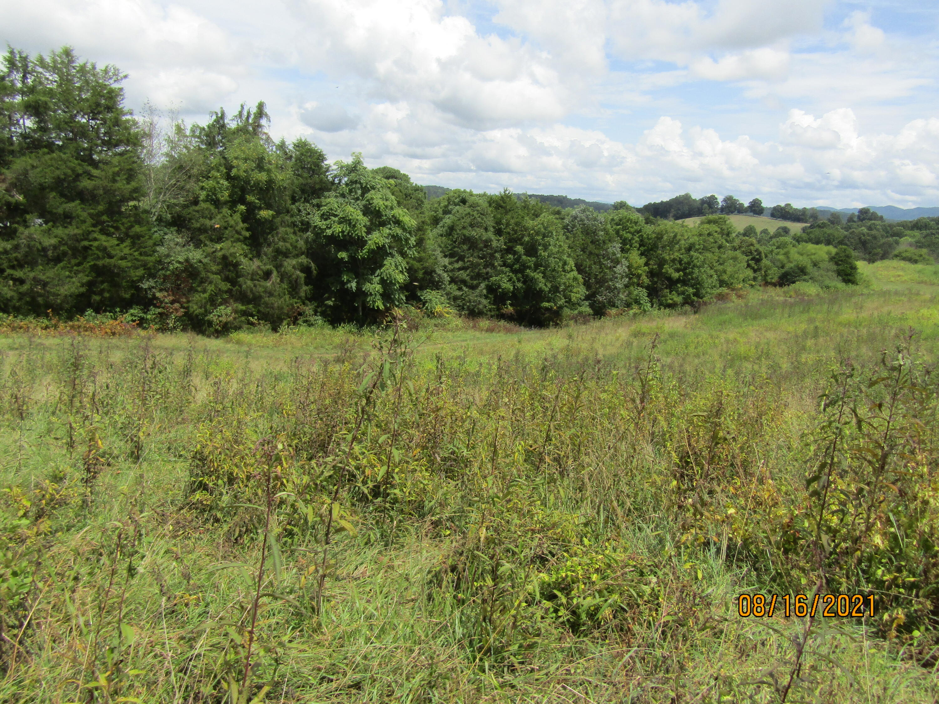 1532 Mount Zion Road Tazewell, TN 37879 - Photo 23 of 54 IMG_3244