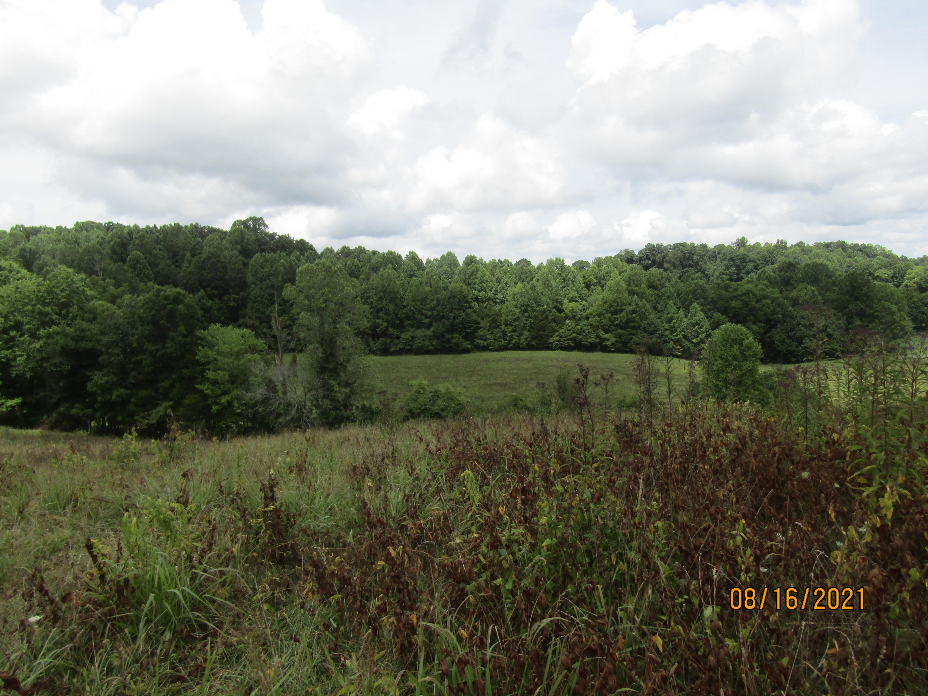 1532 Mount Zion Road Tazewell, TN 37879 - Photo 25 of 54 IMG_3252