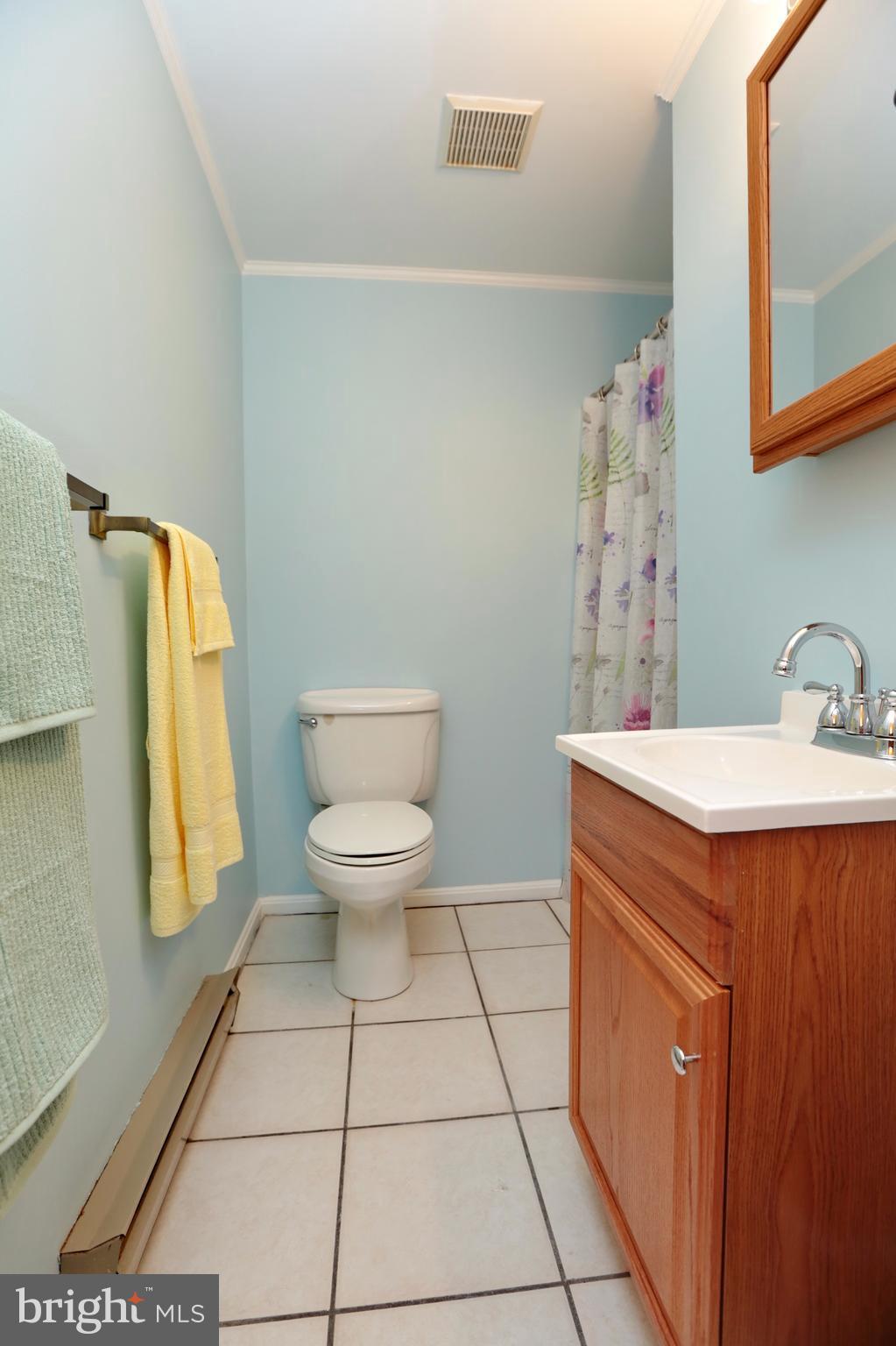 17809 Horsehead Road Brandywine, MD 20613 - Photo 17 of 30 Master Bath