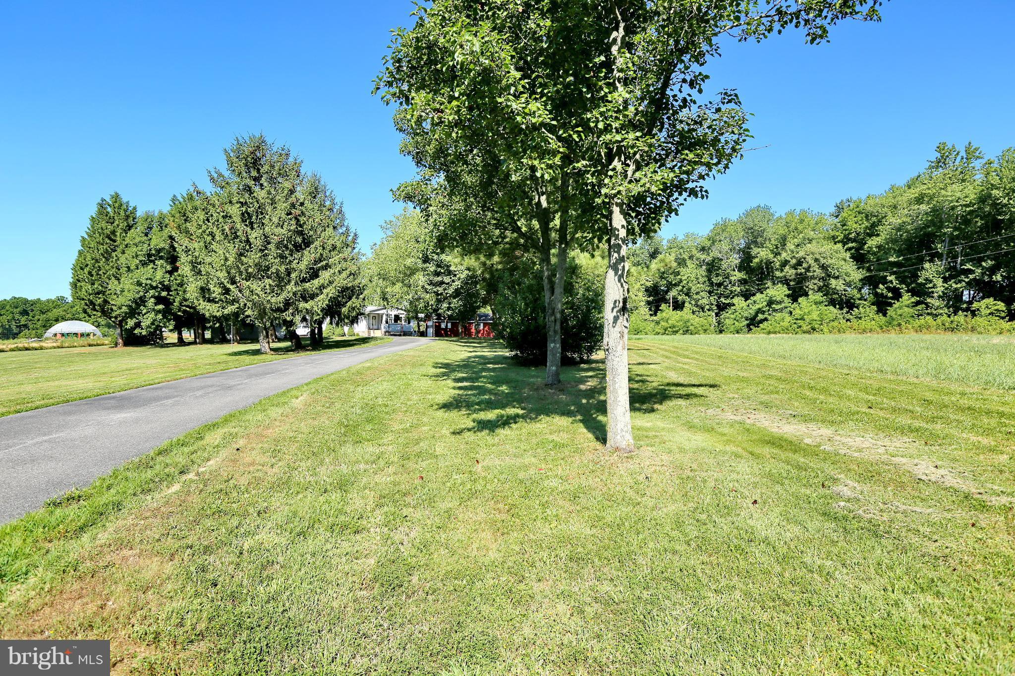 17809 Horsehead Road Brandywine, MD 20613 - Photo 3 of 30 View from the street