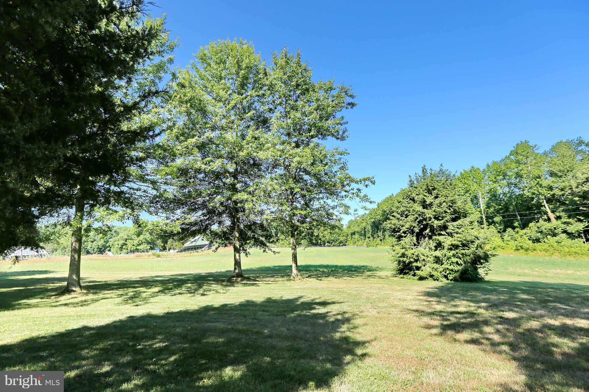 17809 Horsehead Road Brandywine, MD 20613 - Photo 27 of 30 Back Yard