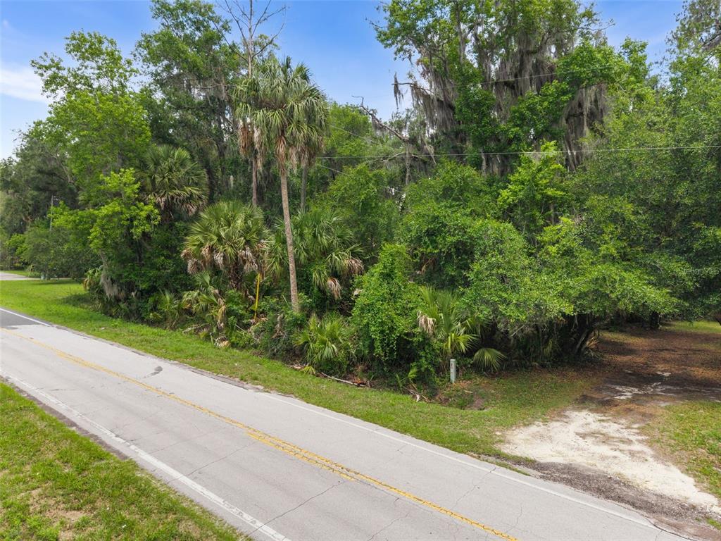 Tbd Southeast Wacahoota Road Micanopy, FL 32667 - Photo 1 of 13 a view of a garden with a bench