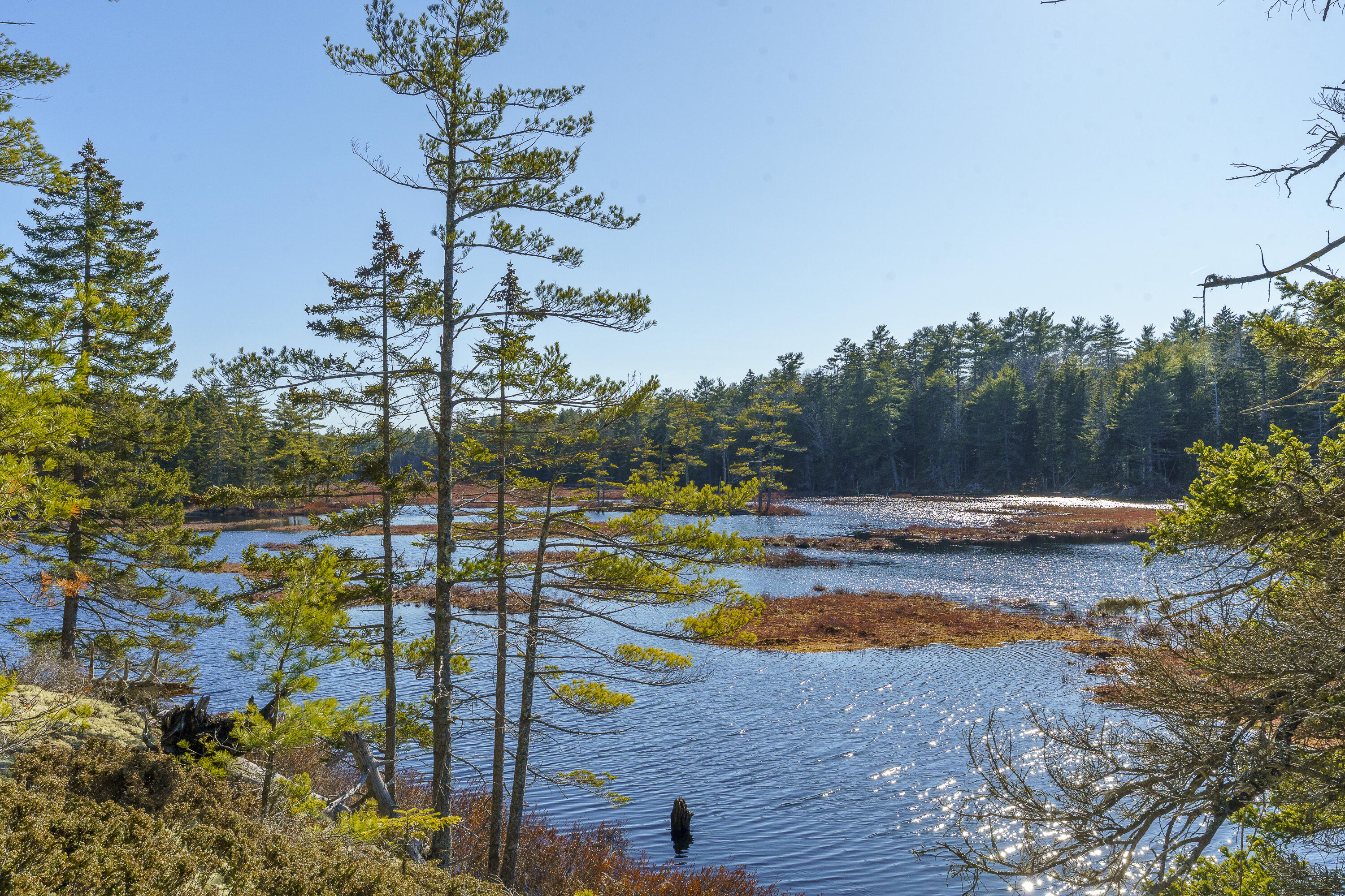 1357 Main Road Westport Island, ME 04578 - Photo 29 of 38