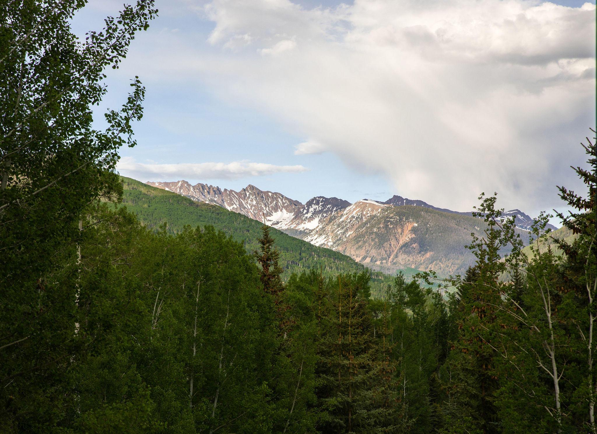 1487 Buffehr Creek Road Vail, CO 81657 - Photo 29 of 32 Great Room View