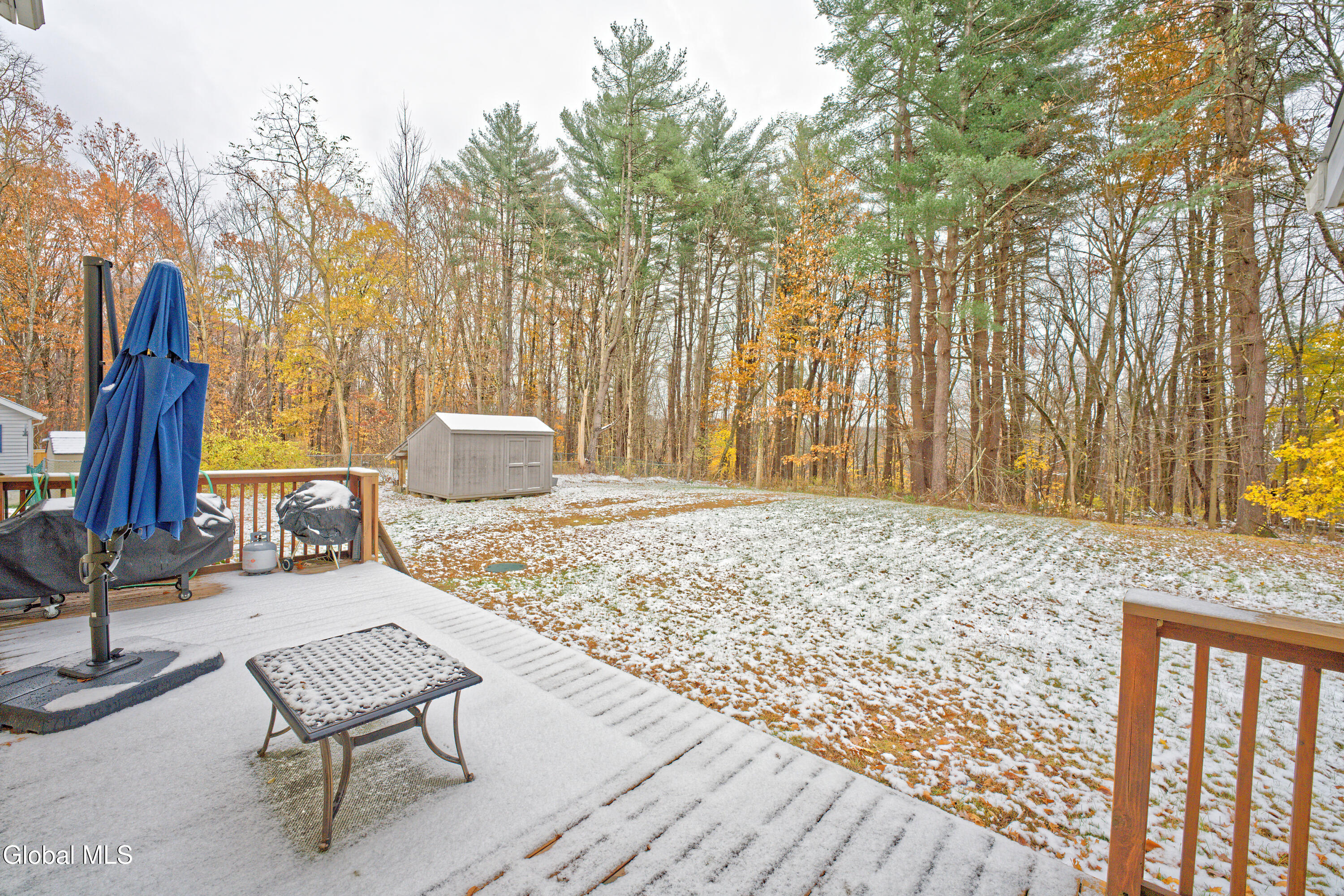 8 Raspberry Drive Malta, NY 12020 - Photo 11 of 45 Yard 1