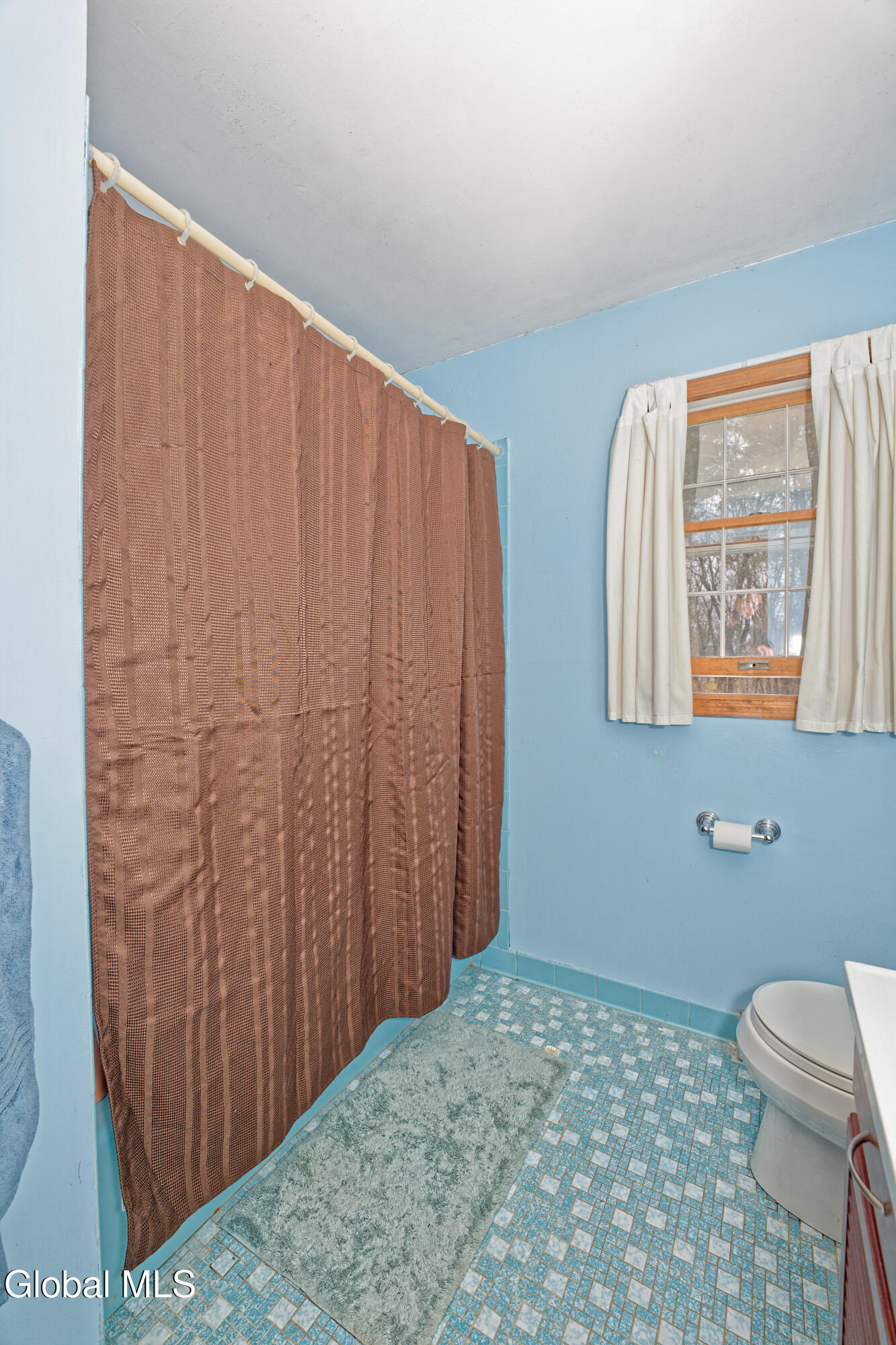 8 Raspberry Drive Malta, NY 12020 - Photo 38 of 45 Bathroom