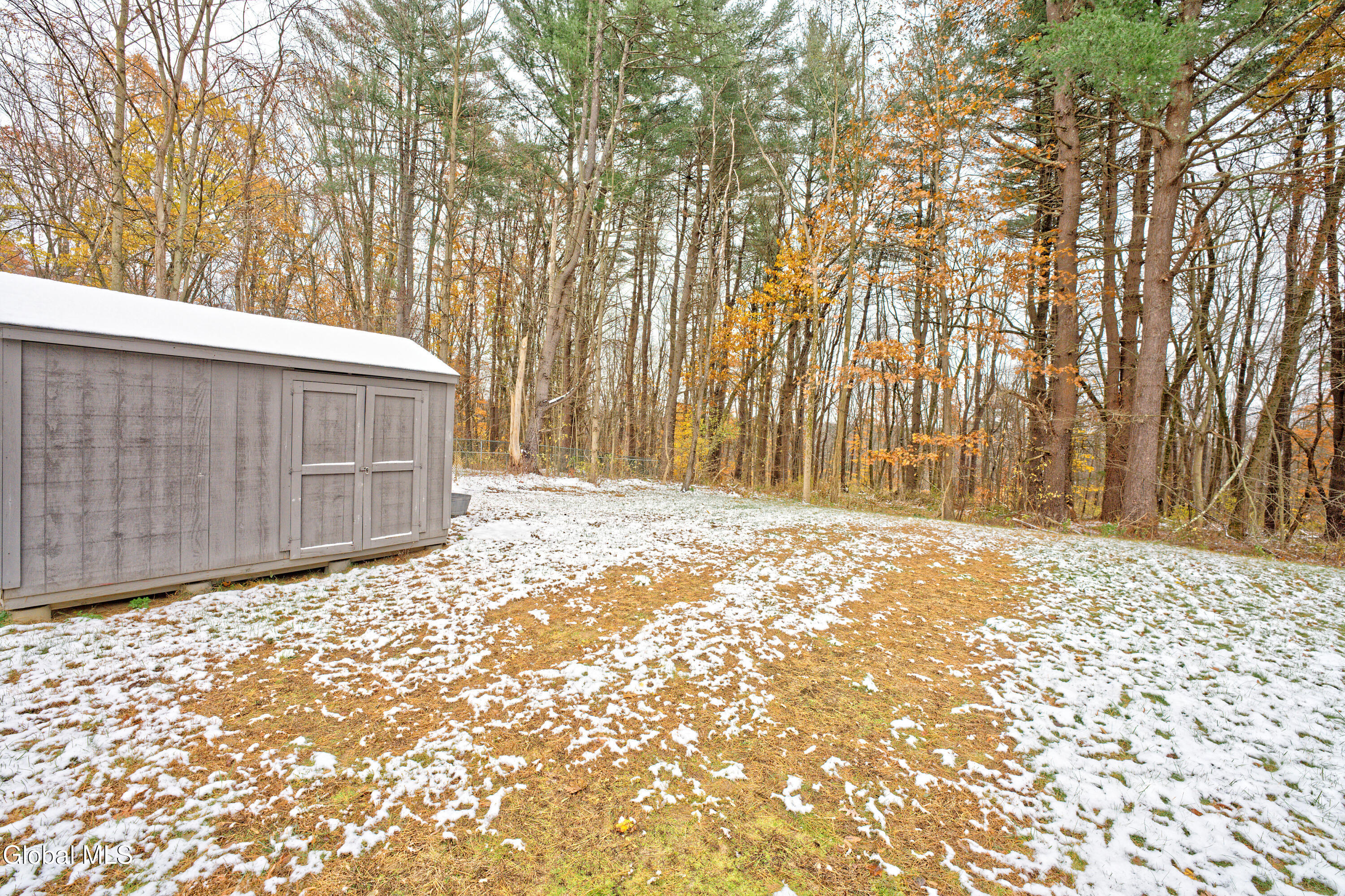 8 Raspberry Drive Malta, NY 12020 - Photo 9 of 45 Yard 4