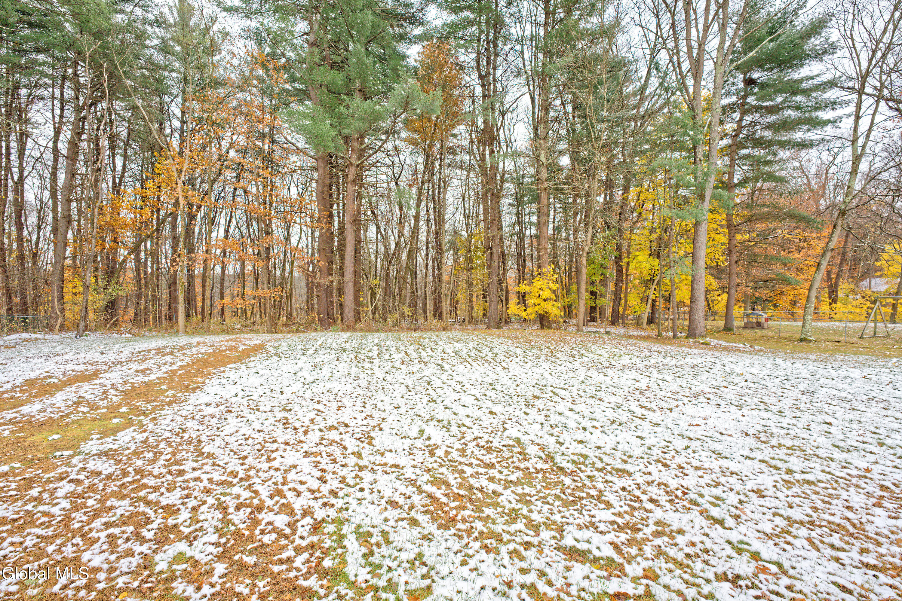 8 Raspberry Drive Malta, NY 12020 - Photo 10 of 45 Yard 3