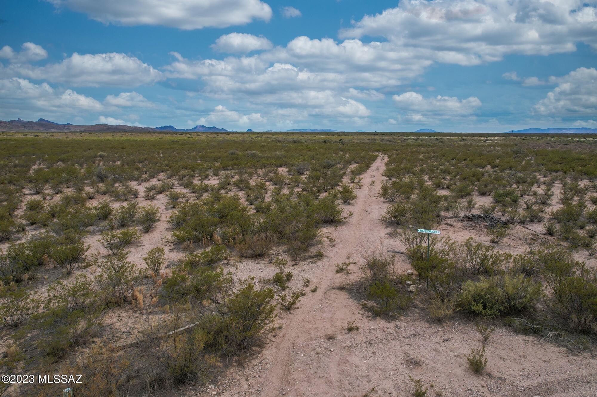 5-acres North 5-acres N Gordon Ranch Road, Unit 4 Douglas, AZ 85607 - Photo 6 of 13