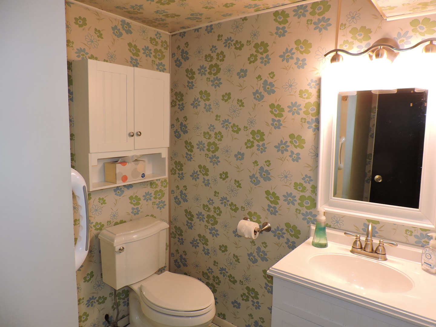 8627 South Kostner Avenue Chicago, IL 60652 - Photo 13 of 29