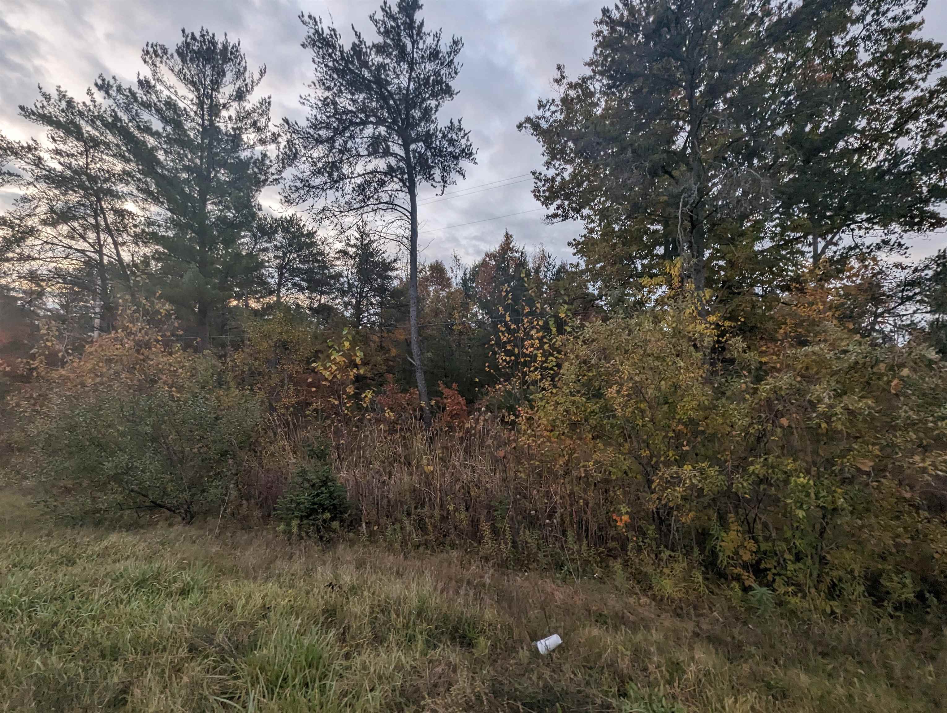 N/a East Huron Road Omer, MI 48749 - Photo 3 of 5