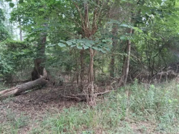 $28,000 | Tbd Dogwood Drive, Murchison, TX 75778