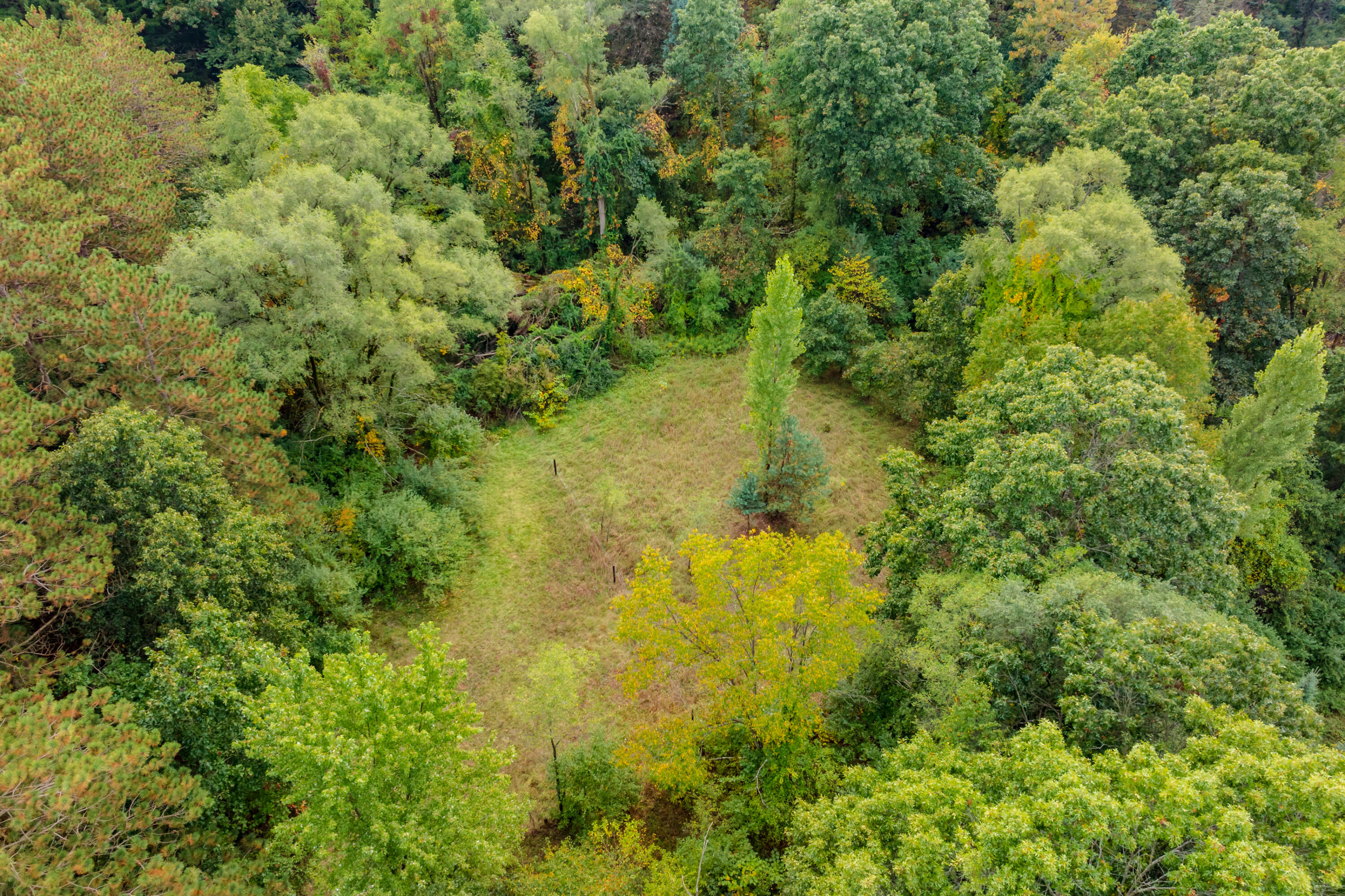 8290 Huff Road Battle Creek, MI 49017 - Photo 48 of 61 Huff Rd 8290 Bellevue 49021-54