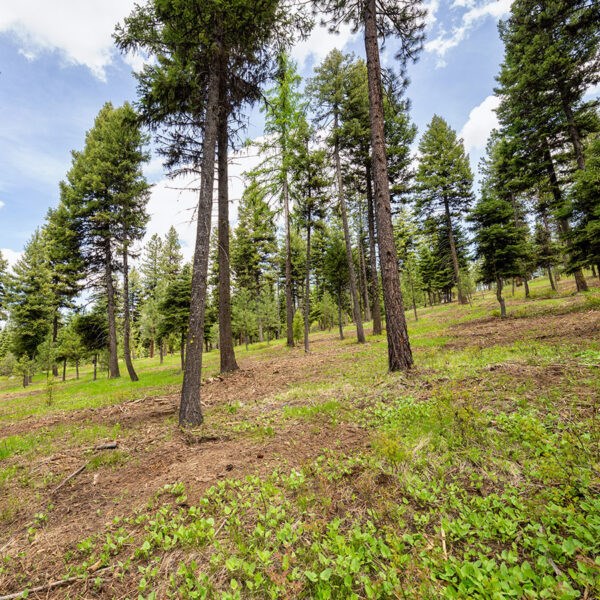 Lot 10 To Be Determined, Unit 10 McCall, ID 83638 - Photo 2 of 2
