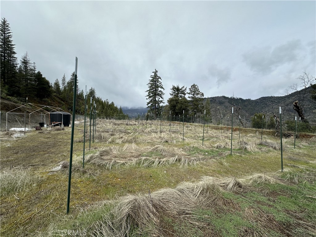 240 Rasmusen Lane Junction City, CA 96048 - Photo 13 of 27