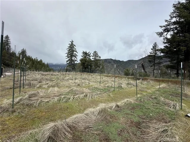 $130,000 | 240 Rasmusen Lane, Junction City, CA 96048