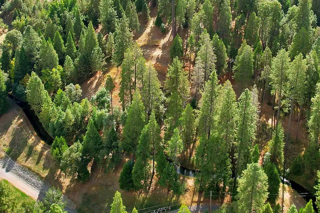 $249,000 | 11021 Pittsburg Mine Road, Nevada City, CA 95959