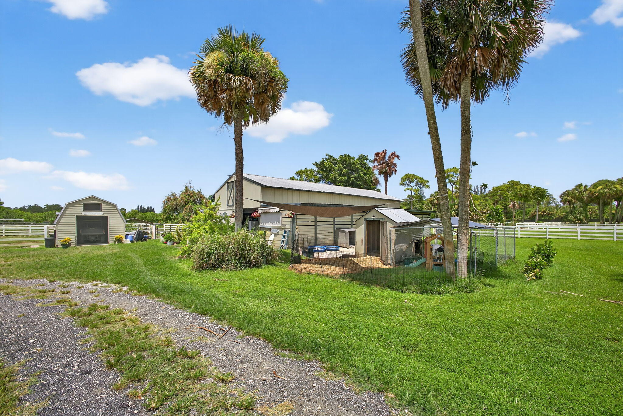14095 Biddex Road Loxahatchee Groves, FL 33470 - Photo 12 of 60 61-web-or-mls-BS1A5006