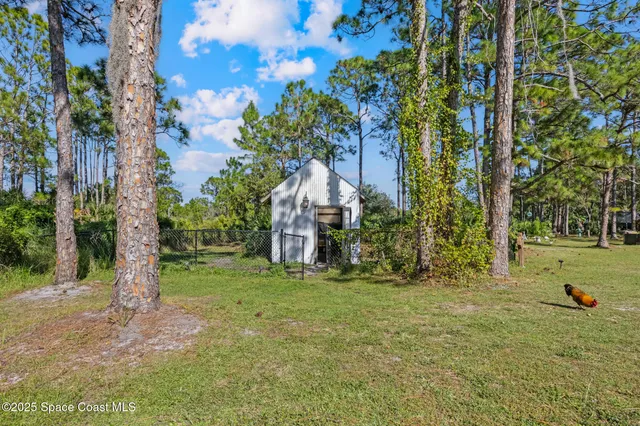 a view of an ocean and beach