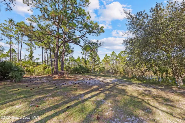 a view of a swimming pool with outdoor space
