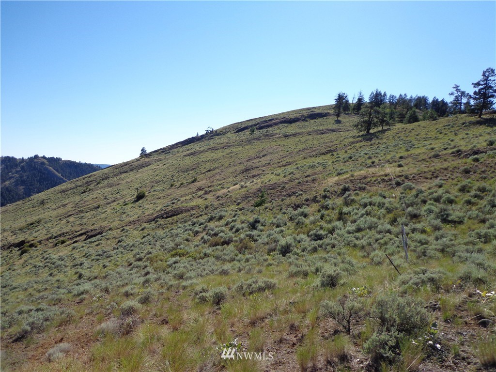 30 Whackmaster Road Republic, WA 99166 - Photo 10 of 10 Gallery Image 10