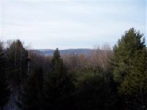 79 Toby Hill Road Newfane, VT 05351 - Photo 3 of 7