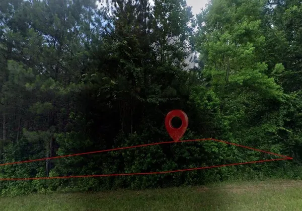 $8,000 | 0 New Clinton Road, Macon, GA 31211