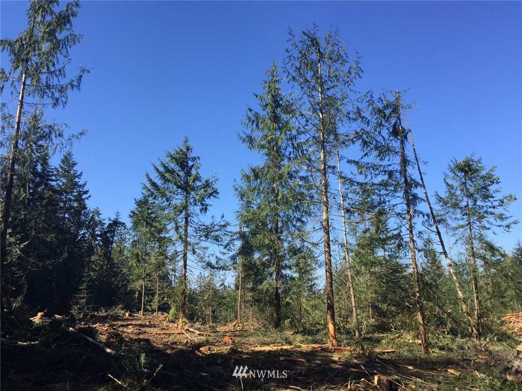 9999 Barnes Road Sequim, WA 98382 - Photo 2 of 7