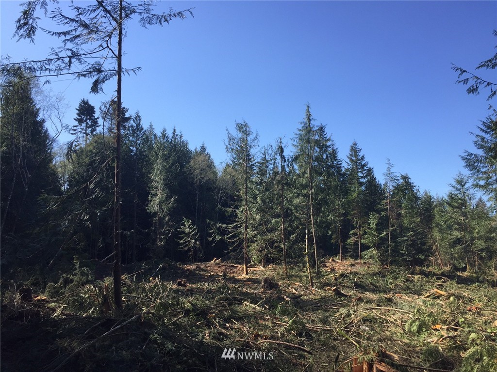 9999 Barnes Road Sequim, WA 98382 - Photo 3 of 7
