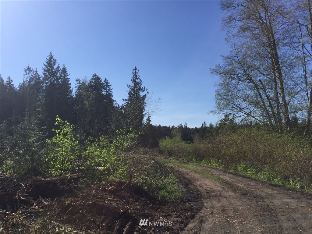 9999 Barnes Road Sequim, WA 98382 - Photo 7 of 7