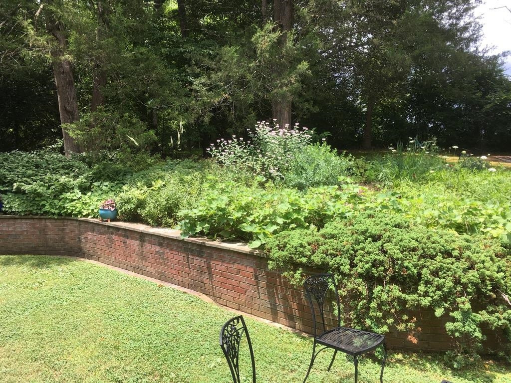 3301 West Cornwallis Road Durham, NC 27705 - Photo 72 of 72 Garden in full bloom from previous year.