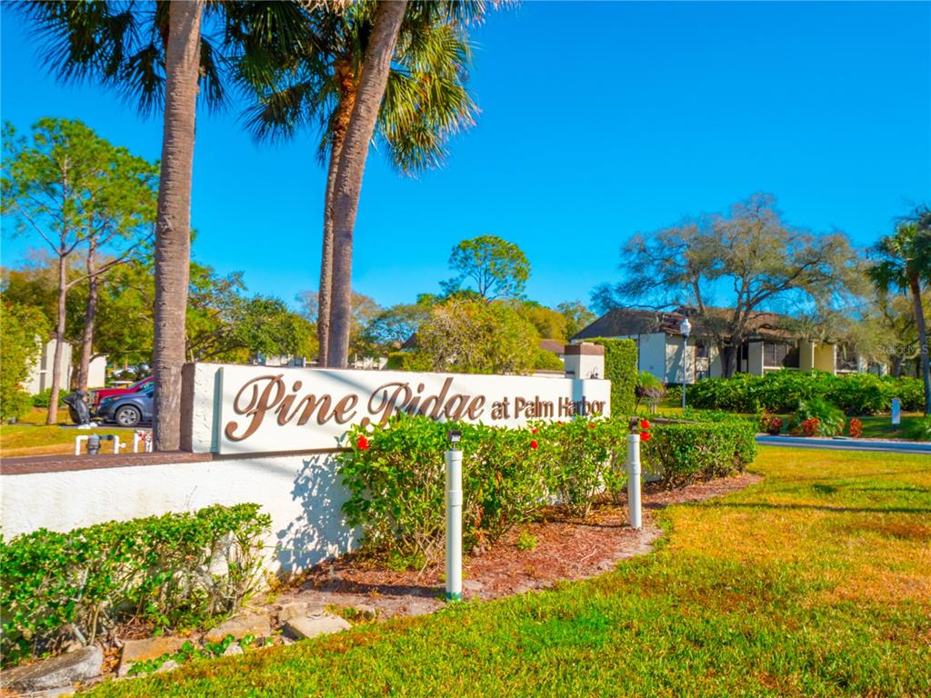 2687 Pine Ridge Way South, Unit C2 Palm Harbor, FL 34684 - Photo 1 of 1