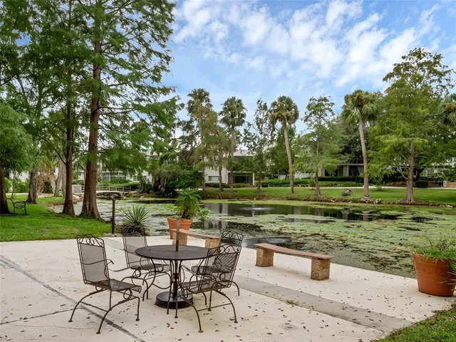 a view of a garden with a pathway