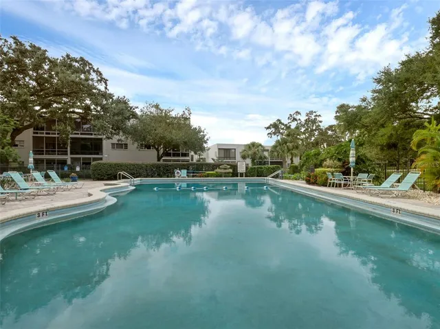 a view of a yard with a large trees