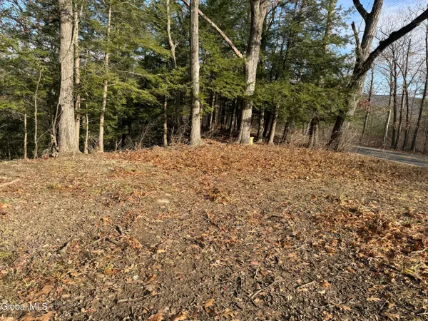 $195,900 | 4711 Pattersonville-Rynex Corners Road, Princetown, NY 12137