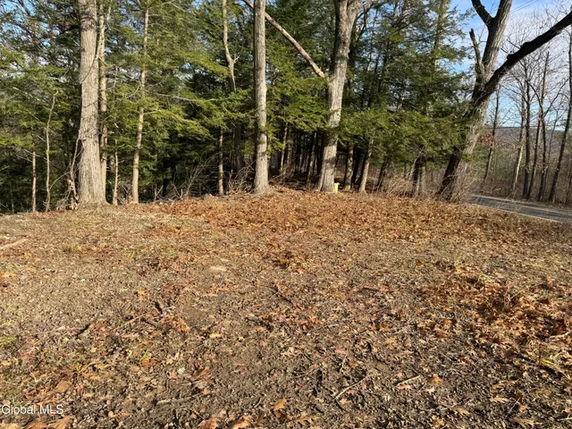 $207,000 | 4711 Pattersonville-Rynex Corners Road, Princetown, NY 12137