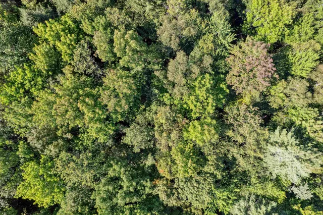 $80,000 | 933 Gage Road, Tunbridge, VT 05032