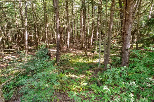 $75,000 | 933 Gage Road, Tunbridge, VT 05032