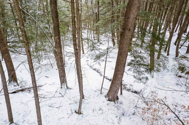 $75,000 | 933 Gage Road, Tunbridge, VT 05032