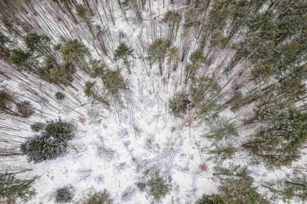 $70,000 | 933 Gage Road, Tunbridge, VT 05032