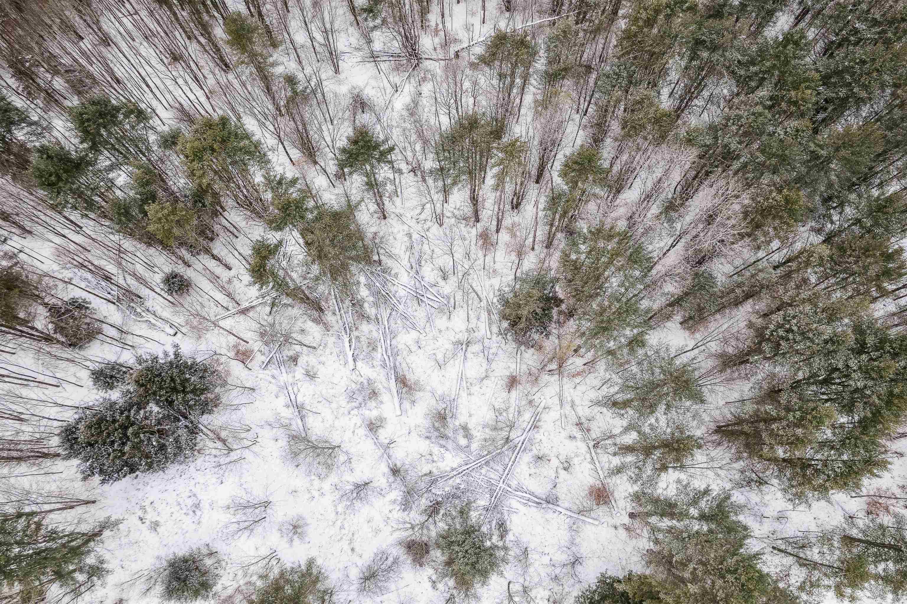 933 Gage Road Tunbridge, VT 05032 - Photo 3 of 18