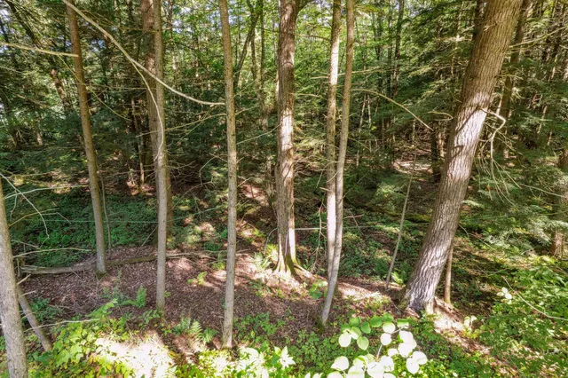 $80,000 | 933 Gage Road, Tunbridge, VT 05032